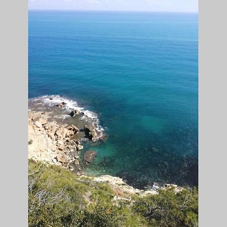 El Poblet 36 Villa Denia Eksteriør bilde