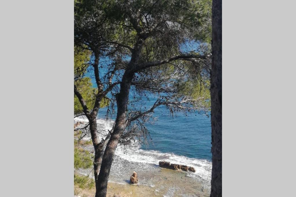El Poblet 36 Villa Denia Eksteriør bilde